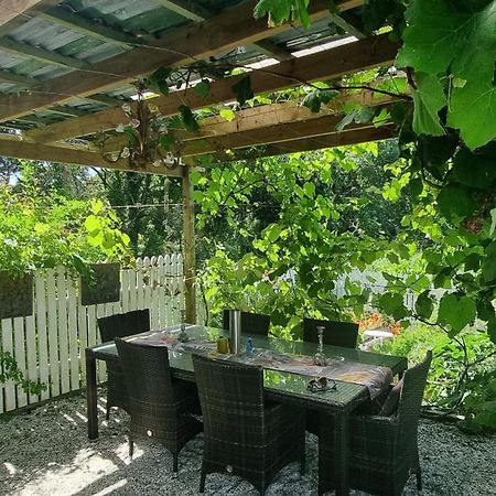 Pheasant Lodge Paparoa Buitenkant foto